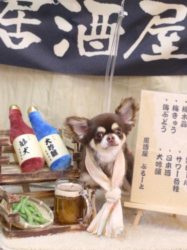 20240628くるみちゃん